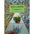 Succulents: Propagation