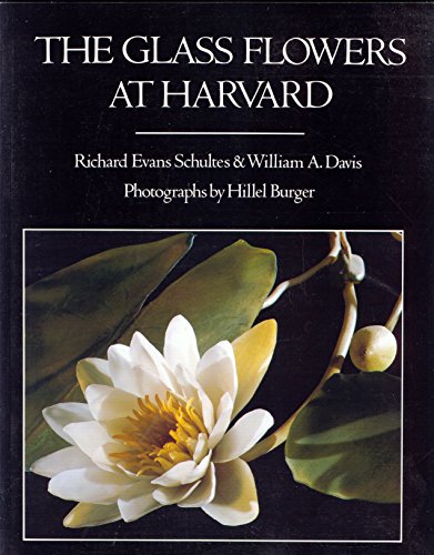 The Glass Flowers at Harvard
