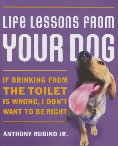 Life Lessons From Your Dog