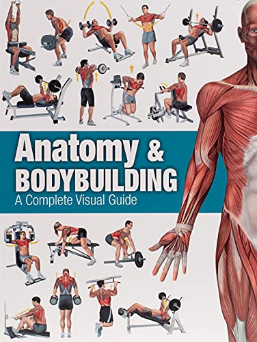 Anatomy & Bodybuilding: A Complete Visual Guide