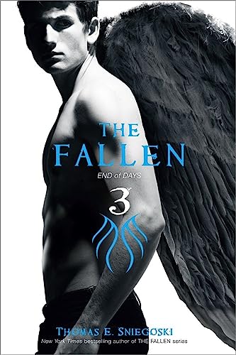 Fallen #3: End of Days