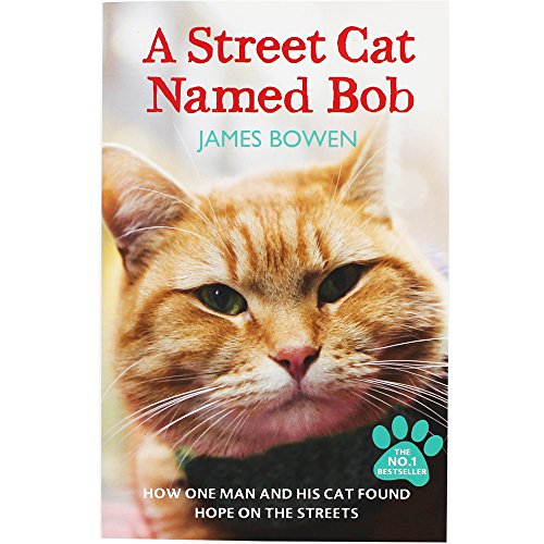 A Street Cat Named Bob: How one man and his cat found hope on the streets