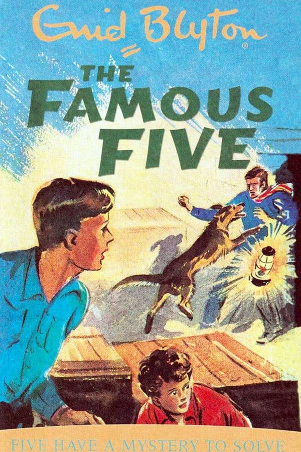 Famous Five: Five Have A Mystery To Solve: Book 20