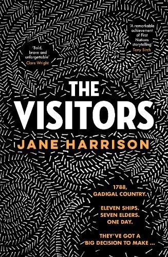 The Visitors: The remarkable debut novel from an award-winning author and playwright, for readers of Melissa Lucashenko, Shankari Chandran and Tara June Winch