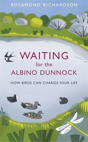 Waiting for the Albino Dunnock: How birds can change your life