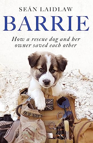 Barrie: How a rescue dog and her owner saved each other