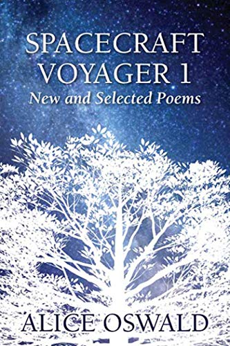 Spacecraftt Voyager 1: New and Selected Poems