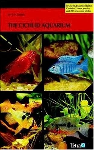 Cichlid Aquarium