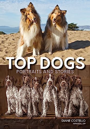 Top Dogs: Portraits and Stories