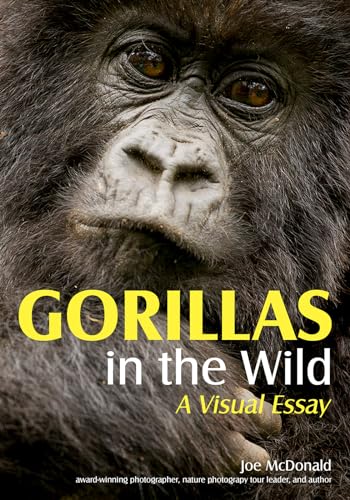 Gorillas in the Wild: A Visual Essay