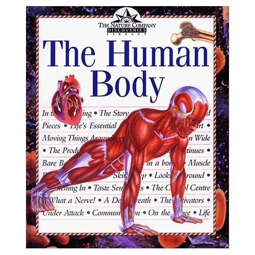 The Human Body