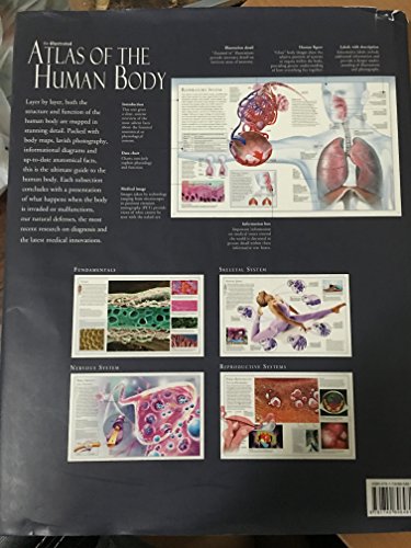 Illustrated Atlas of the Human Body