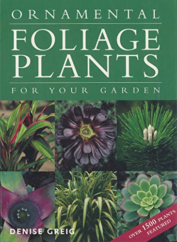 Ornamental Foliage Plants for Your Garden