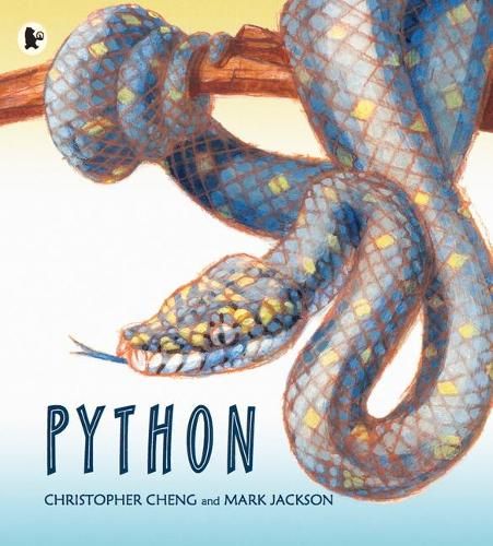 Python