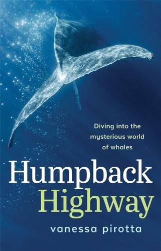 Humpback Highway: Diving into the mysterious world of whales