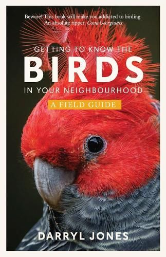 Getting to Know the Birds in Your Neighbourhood: A Field Guide