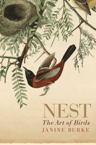 Nest: The art of birds