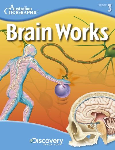 Discovery Education Brain Works