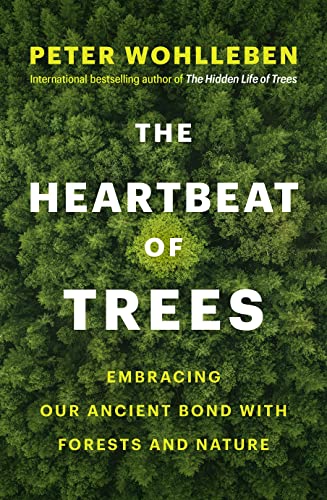 The Heartbeat of Trees: Embracing Our Ancient Bond with Forests and Nature