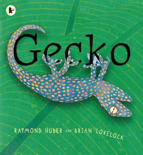 Gecko