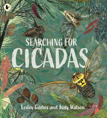 Searching for Cicadas