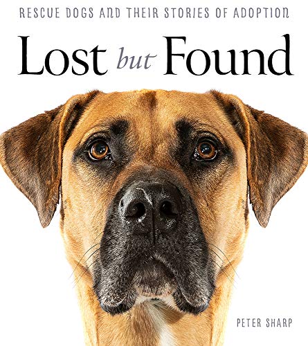 Lost But Found