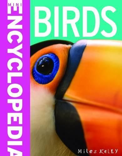 Mini Encyclopedia - Birds