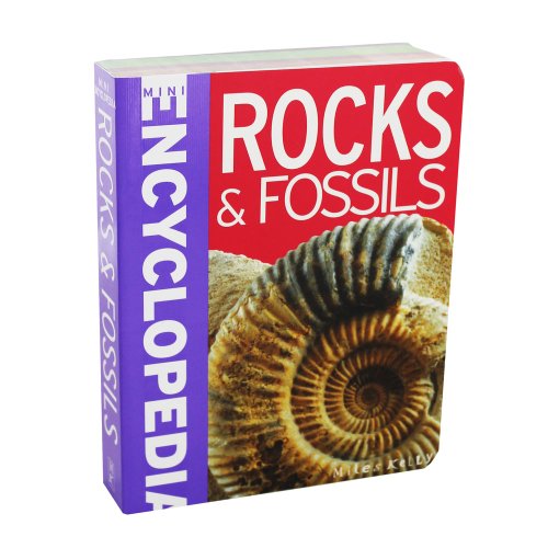 Mini Encyclopedia - Rocks & Fossils