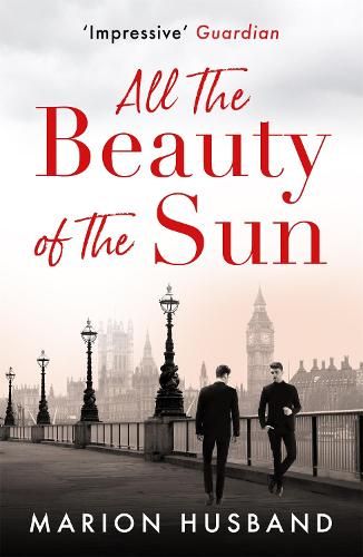 All the Beauty of the Sun: The Boy I Love: Book Two