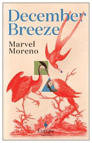 December Breeze: A masterful novel on womanhood in Colombia