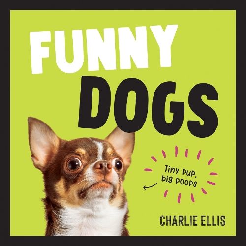 Funny Dogs: A Hilarious Collection of the World's Silliest Dogs and Most Relatable Memes