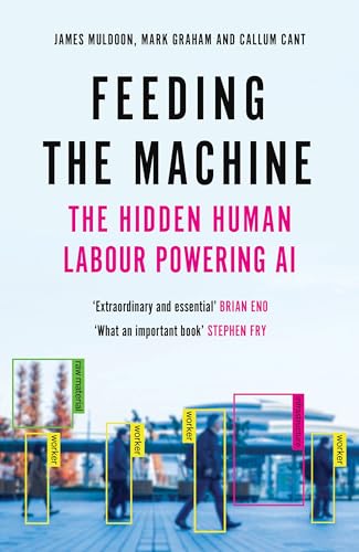 Feeding the Machine: The Hidden Human Labour Powering AI