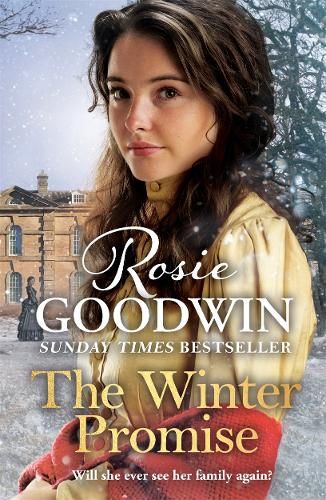 The Winter Promise: A perfect cosy Victorian saga from the Sunday Times bestselling author