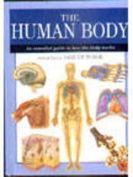 The Human Body: An Essential Guide to How the Body Works