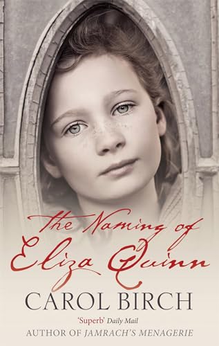 The Naming Of Eliza Quinn