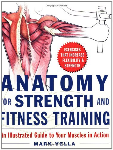 Anatomy for Strength and Fitness Training