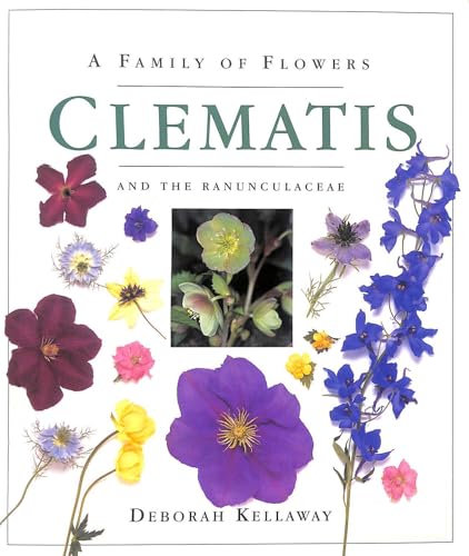 FAMILY OF FLOWERS CLEMATIS