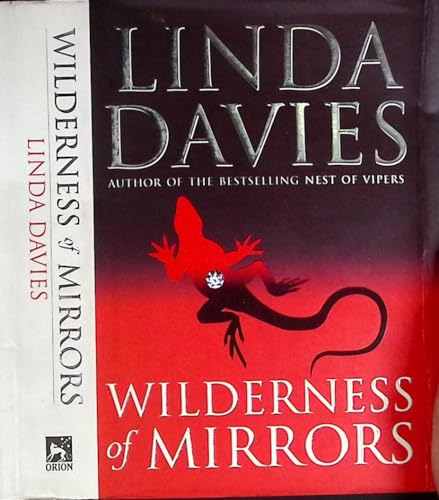 Wilderness of Mirrors