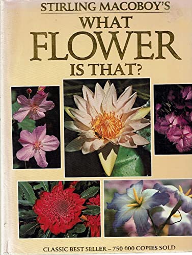 What Flower is That?