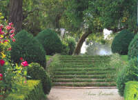 Garden of a Lifetime: Dame Elisabeth Murdoch at Cruden Farm