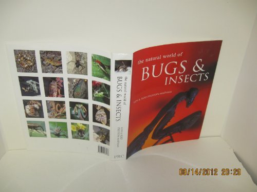 Natural World of Bugs & Insects