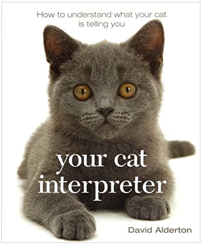 Your Cat Interpreter: How to Understand What Your Cat is Saying to You