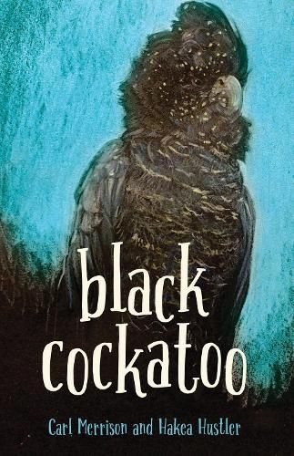 Black Cockatoo