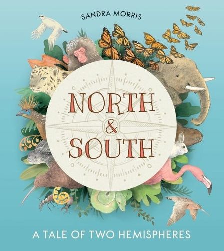 North and South: A Tale of Two Hemispheres