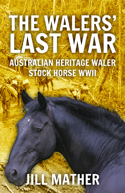 The Walers' Last War: Australian Heritage Waler Stock Horse WWII