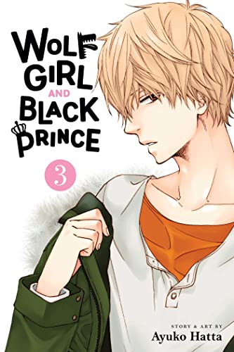 Wolf Girl and Black Prince, Vol. 3: Volume 3