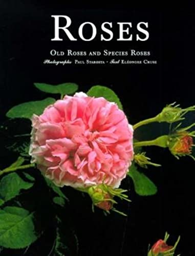 Roses: Our Roses and Species Roses