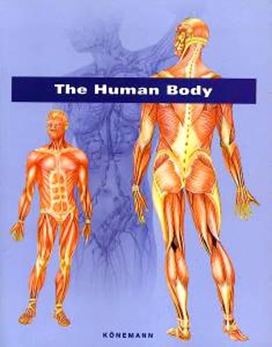 The Human Body