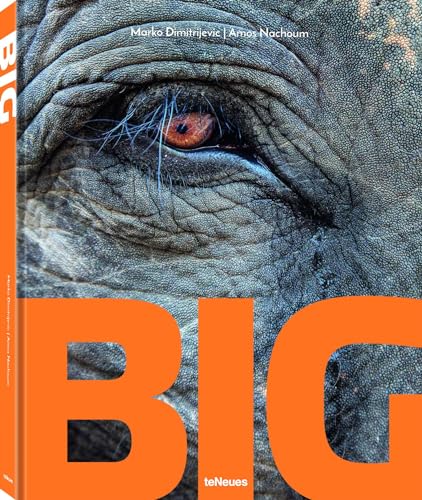 Big: A Photographic Album of the World's Largest Animals