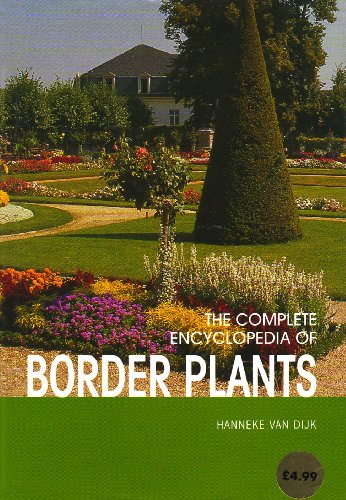 Border Plants
